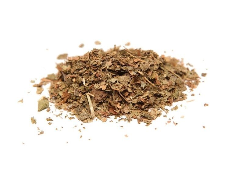 hazel bark for the treatment of prostatitis
